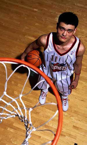 不可替代性 不可替代性