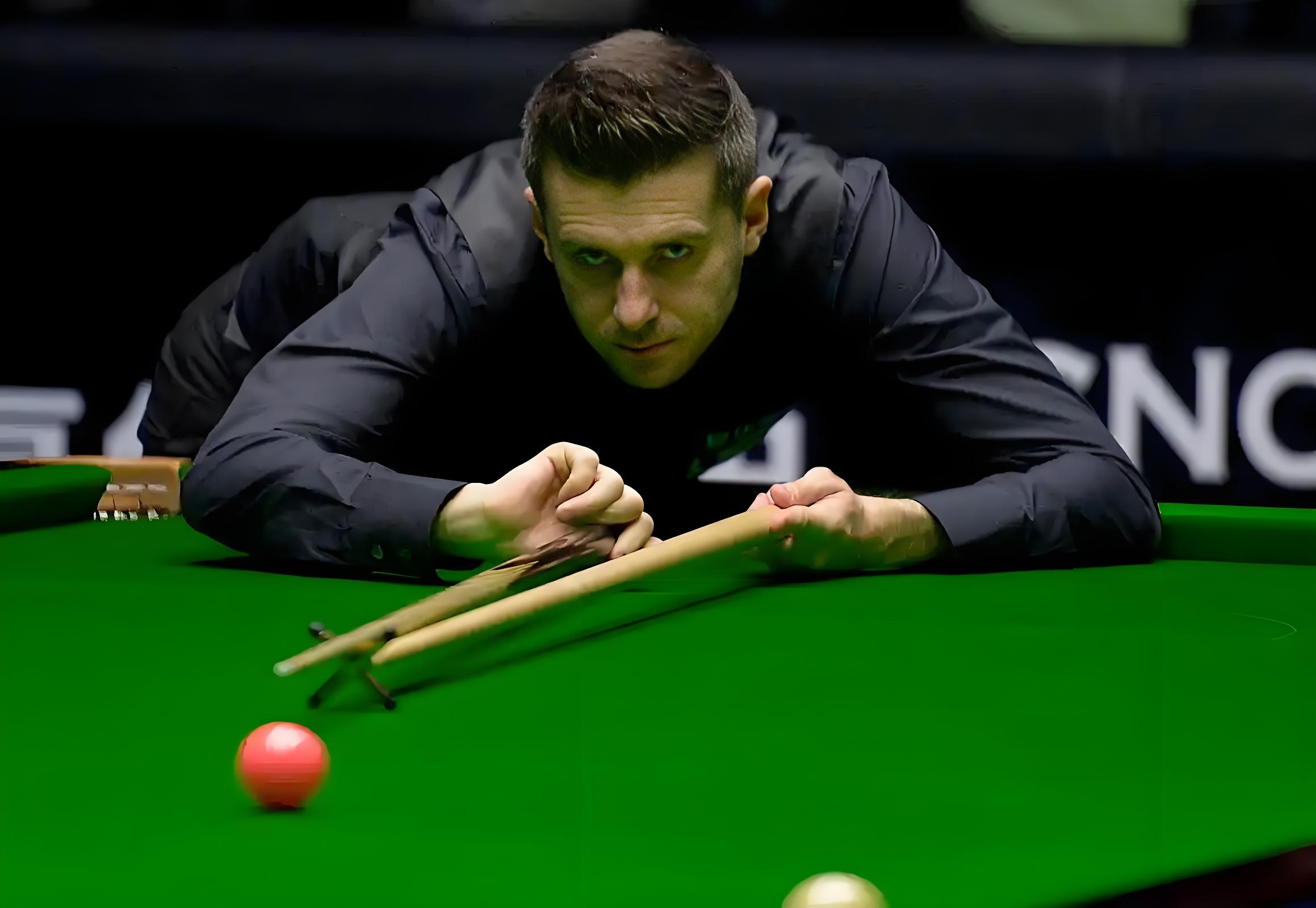 项数据高光 项数据高光