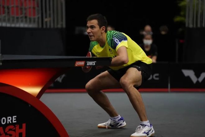 组织各种体 组织各种体