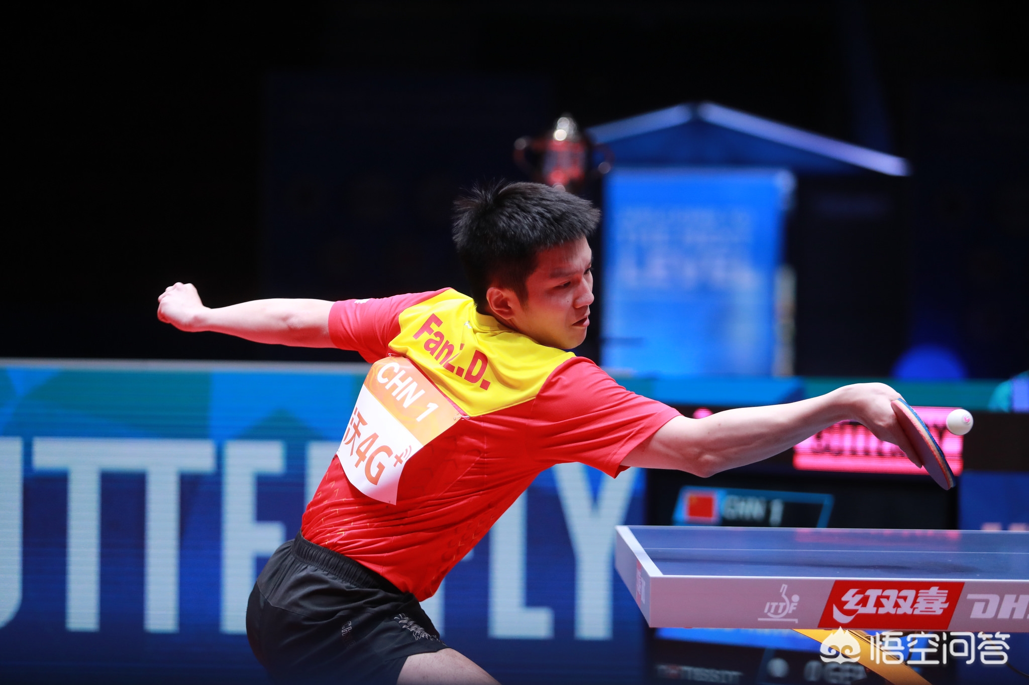 赛时运行条 赛时运行条