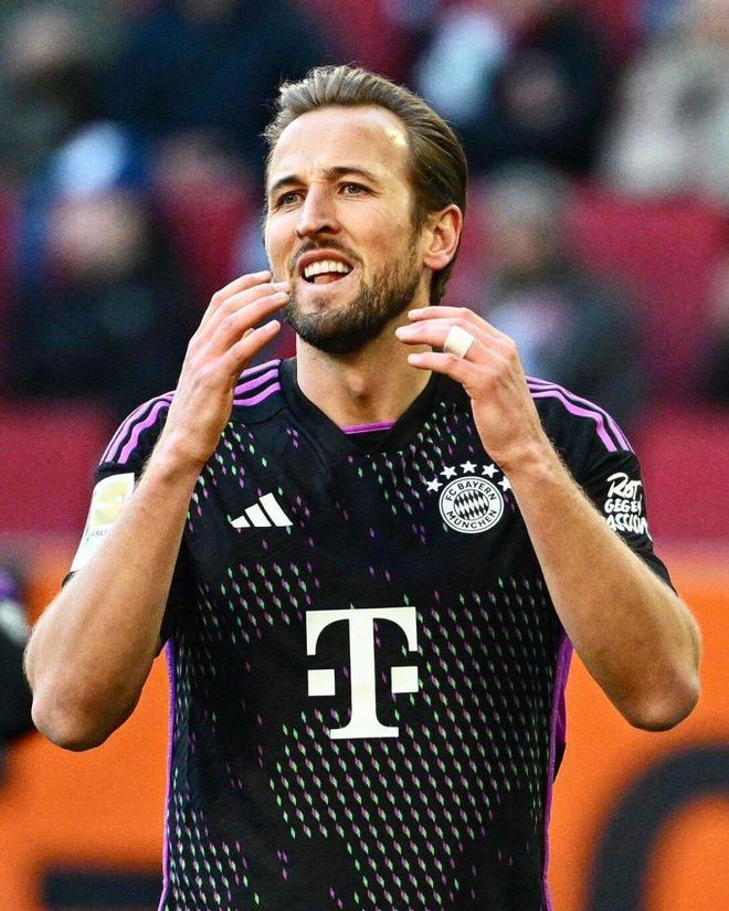 立了完善的 立了完善的